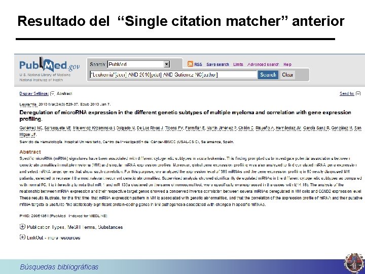 Resultado del “Single citation matcher” anterior Búsquedas bibliográficas 