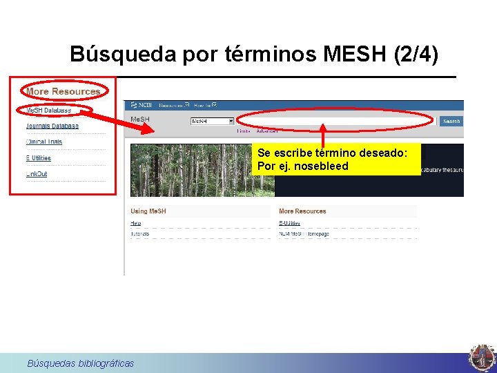 Búsqueda por términos MESH (2/4) Se escribe término deseado: Por ej. nosebleed Búsquedas bibliográficas