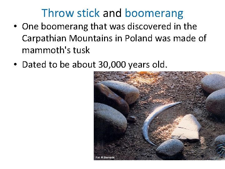 Throw stick and boomerang • One boomerang that was discovered in the Carpathian Mountains