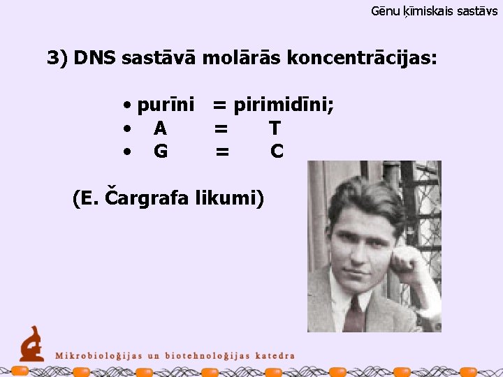 Gēnu ķīmiskais sastāvs 3) DNS sastāvā molārās koncentrācijas: • purīni = pirimidīni; • A