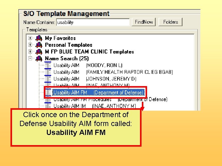 Click once on the Department of Defense Usability AIM form called: Usability AIM FM