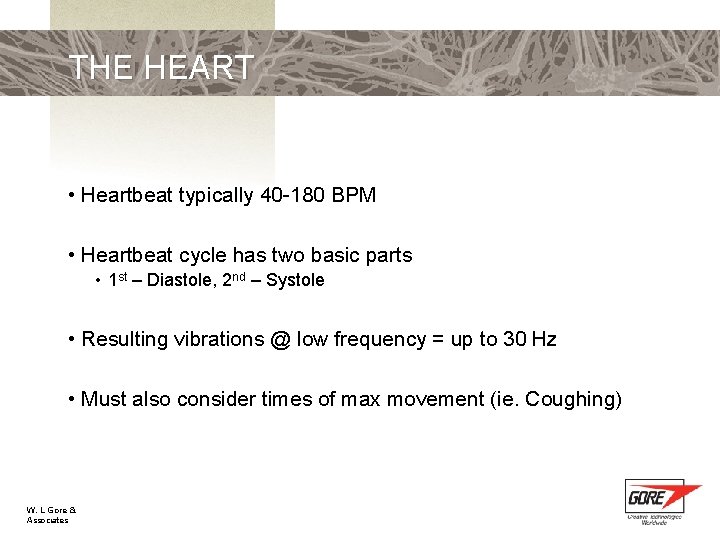 THE HEART • Heartbeat typically 40 -180 BPM • Heartbeat cycle has two basic