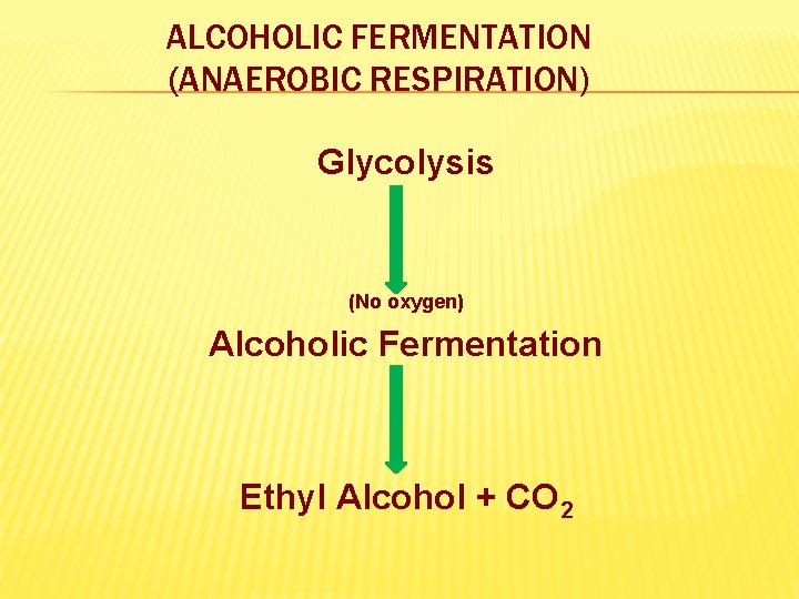 ALCOHOLIC FERMENTATION (ANAEROBIC RESPIRATION) Glycolysis (No oxygen) Alcoholic Fermentation Ethyl Alcohol + CO 2