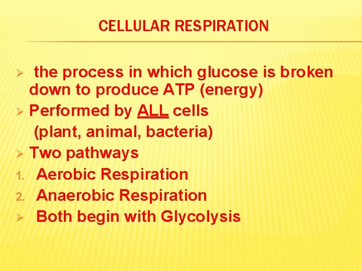 CELLULAR RESPIRATION the process in which glucose is broken down to produce ATP (energy)