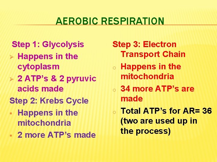 AEROBIC RESPIRATION Step 1: Glycolysis Ø Happens in the cytoplasm Ø 2 ATP’s &