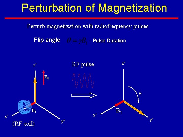 Perturbation of Magnetization Perturb magnetization with radiofrequency pulses Flip angle Pulse Duration RF pulse