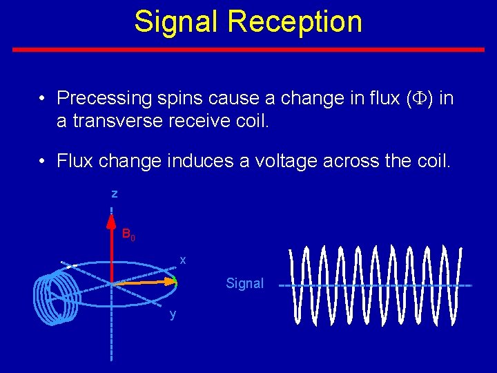 Signal Reception • Precessing spins cause a change in flux (F) in a transverse