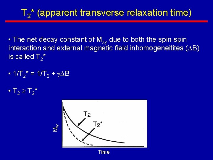 T 2* (apparent transverse relaxation time) • The net decay constant of Mxy due