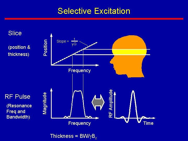 Selective Excitation (position & thickness) Position Slice Slope = 1 G (Resonance Freq and