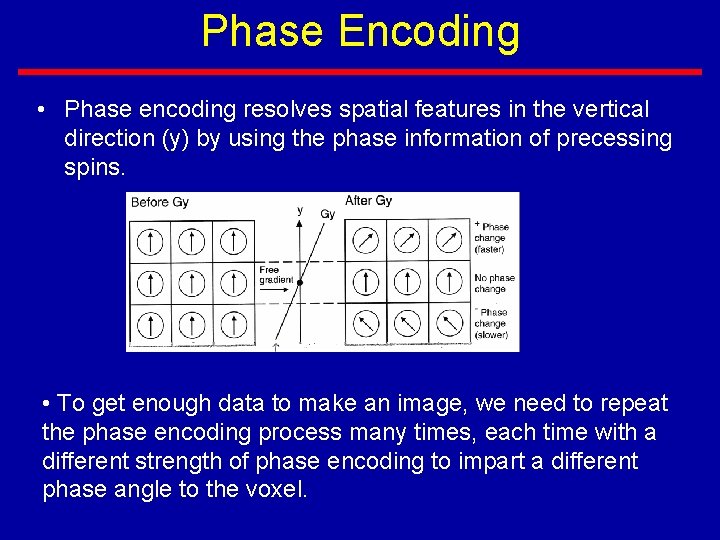 Phase Encoding • Phase encoding resolves spatial features in the vertical direction (y) by