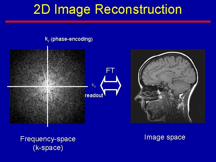 2 D Image Reconstruction ky (phase-encoding) FT kx readout Frequency-space (k-space) Image space 