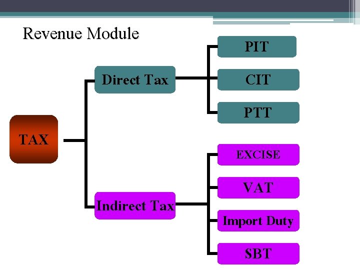 Revenue Module Direct Tax TAX PIT CIT PTT EXCISE Indirect Tax VAT Import Duty