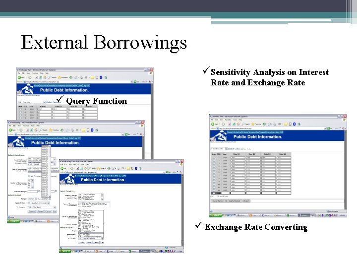 External Borrowings ü Sensitivity Analysis on Interest Rate and Exchange Rate ü Query Function