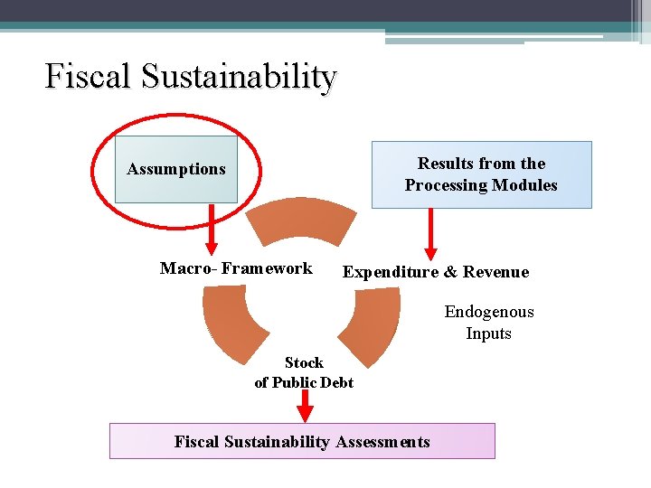 Fiscal Sustainability Results from the Processing Modules Assumptions Macro- Framework Expenditure & Revenue Endogenous