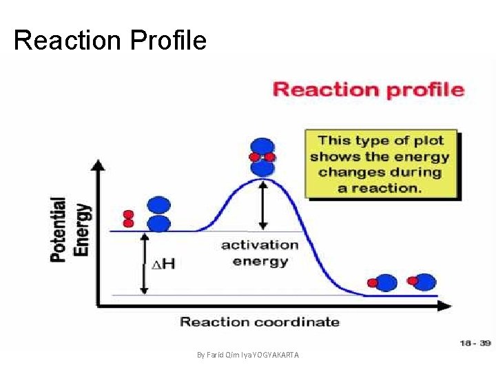 Reaction Profile By Farid Qim Iya YOGYAKARTA 