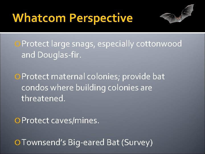 Whatcom Perspective Protect large snags, especially cottonwood and Douglas-fir. Protect maternal colonies; provide bat