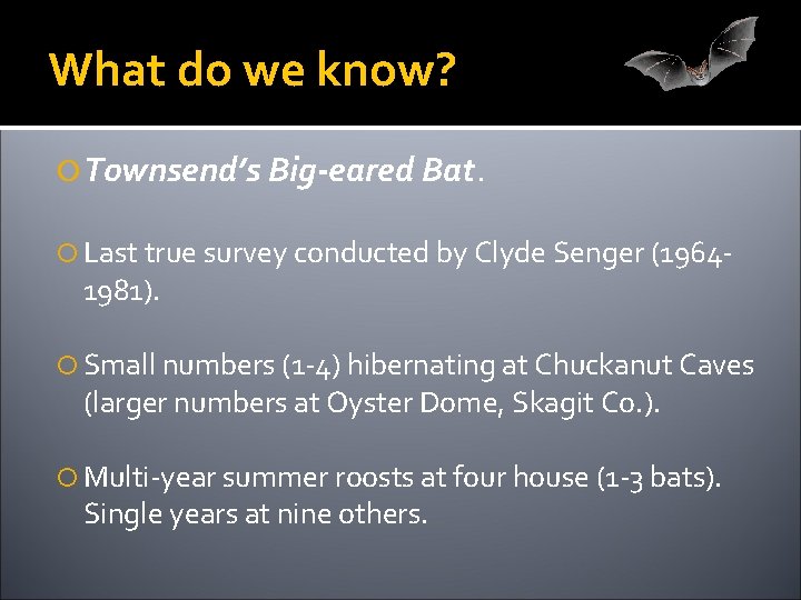 What do we know? Townsend’s Big-eared Bat. Last true survey conducted by Clyde Senger