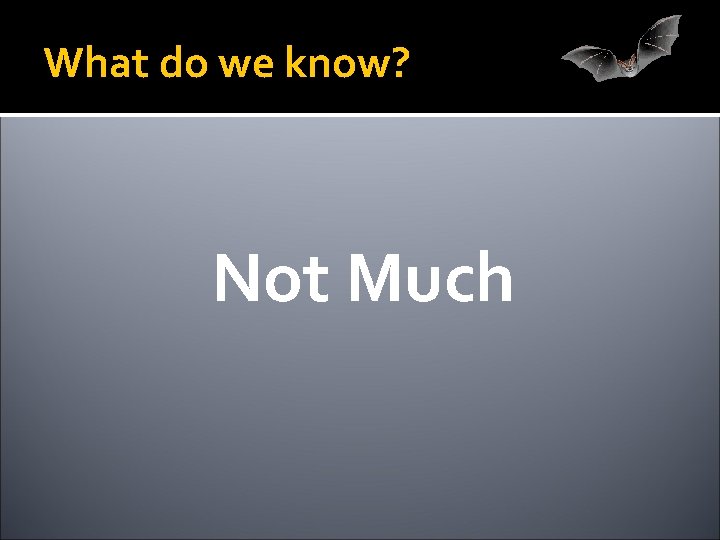 What do we know? Not Much 