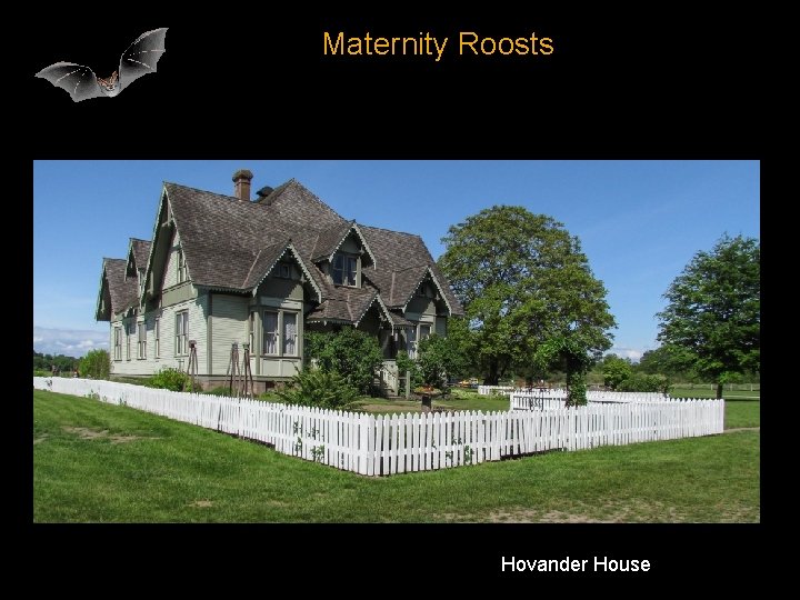 Maternity Roosts Hovander House 