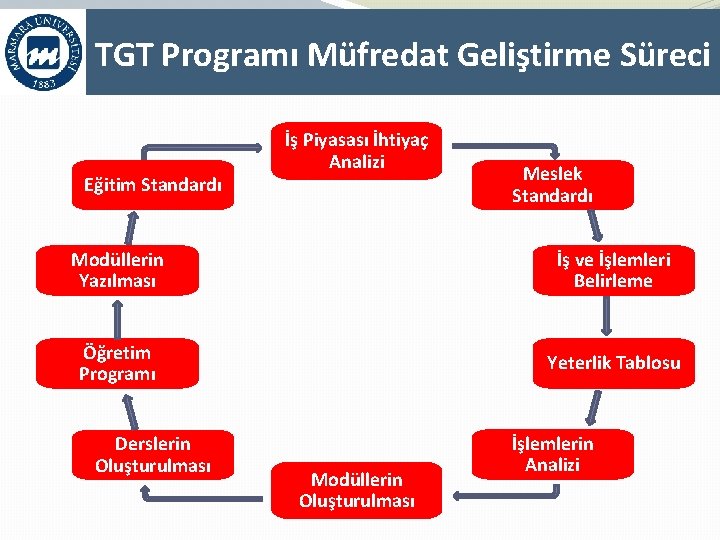 TGT Programı Müfredat Geliştirme Süreci Eğitim Standardı İş Piyasası İhtiyaç Analizi Meslek Standardı Modüllerin
