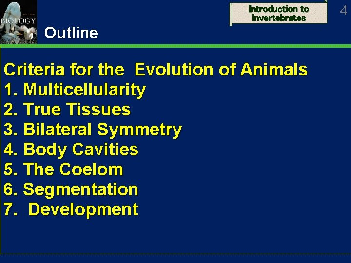 Introduction to Invertebrates Outline Criteria for the Evolution of Animals 1. Multicellularity 2. True