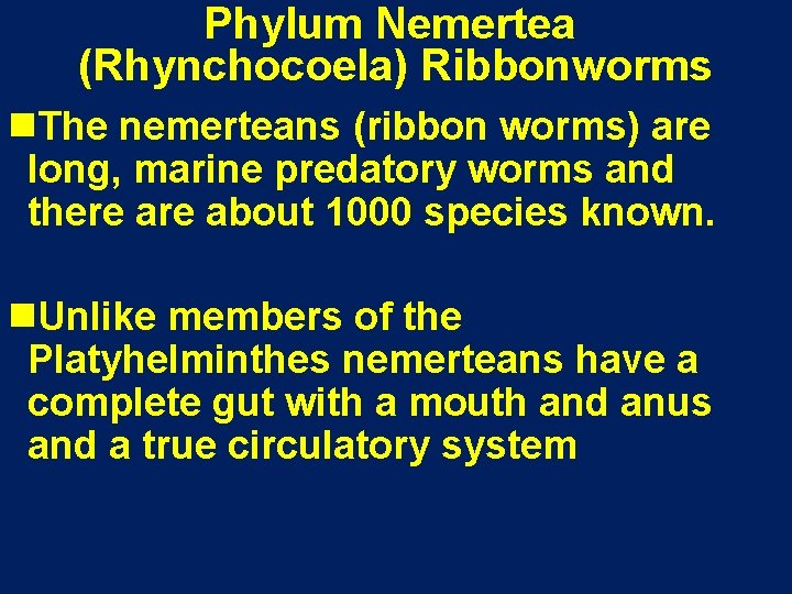 Phylum Nemertea (Rhynchocoela) Ribbonworms n. The nemerteans (ribbon worms) are long, marine predatory worms