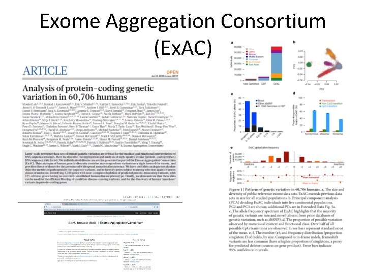 Exome Aggregation Consortium (Ex. AC) 