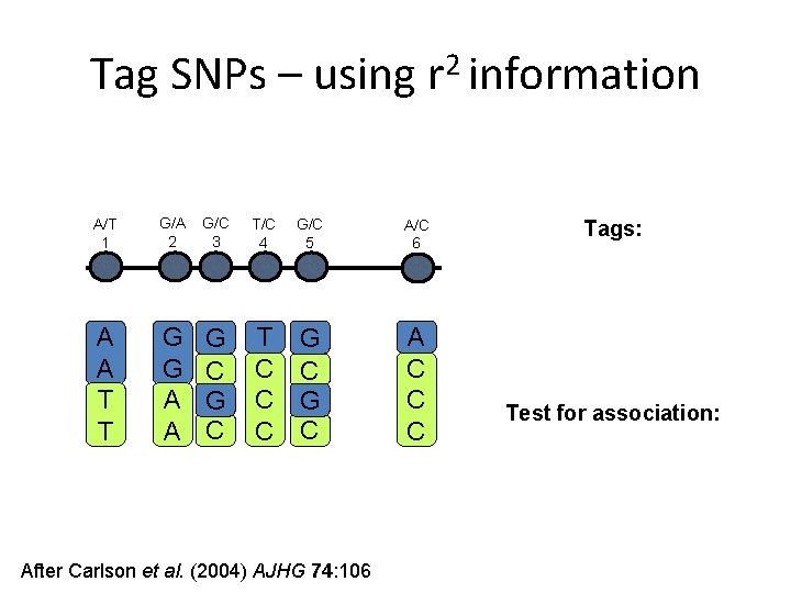 Tag SNPs – using r 2 information A/T 1 G/A 2 G/C 3 T/C