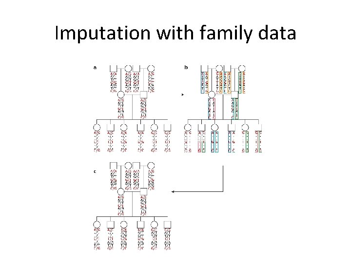 Imputation with family data 