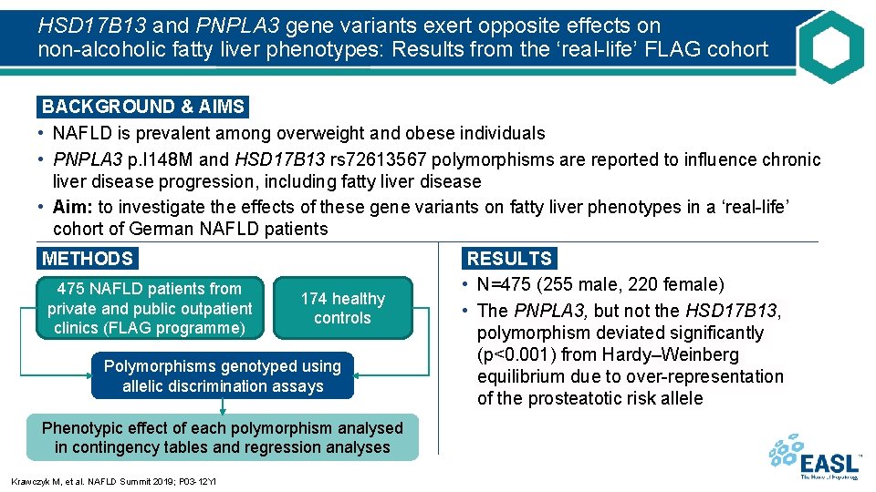 HSD 17 B 13 and PNPLA 3 gene variants exert opposite effects on non-alcoholic