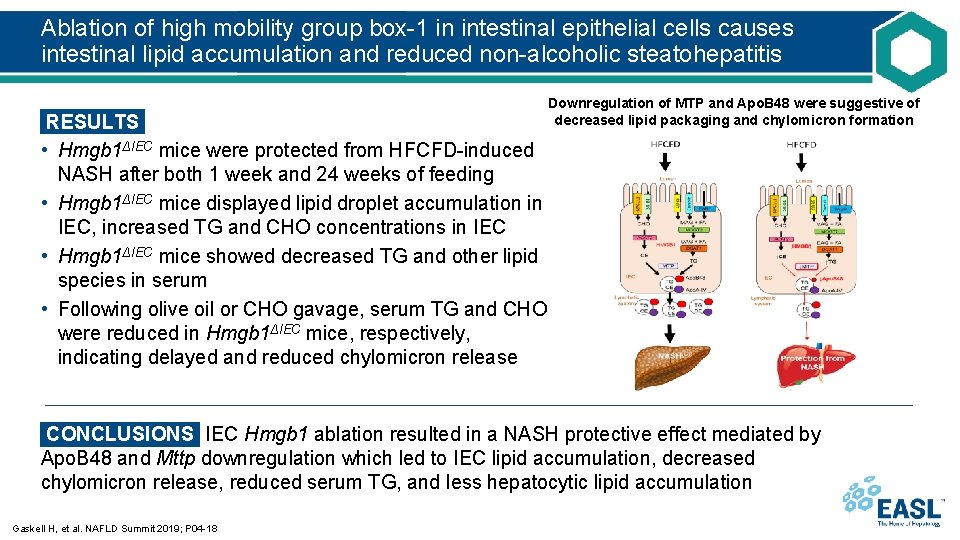 Ablation of high mobility group box-1 in intestinal epithelial cells causes intestinal lipid accumulation