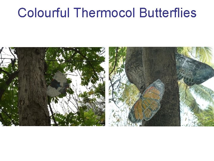 Colourful Thermocol Butterflies 