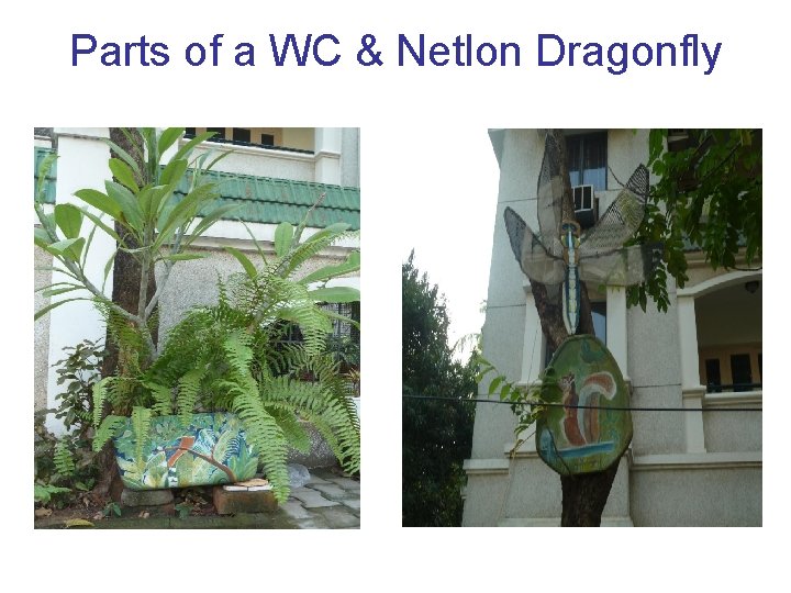 Parts of a WC & Netlon Dragonfly 