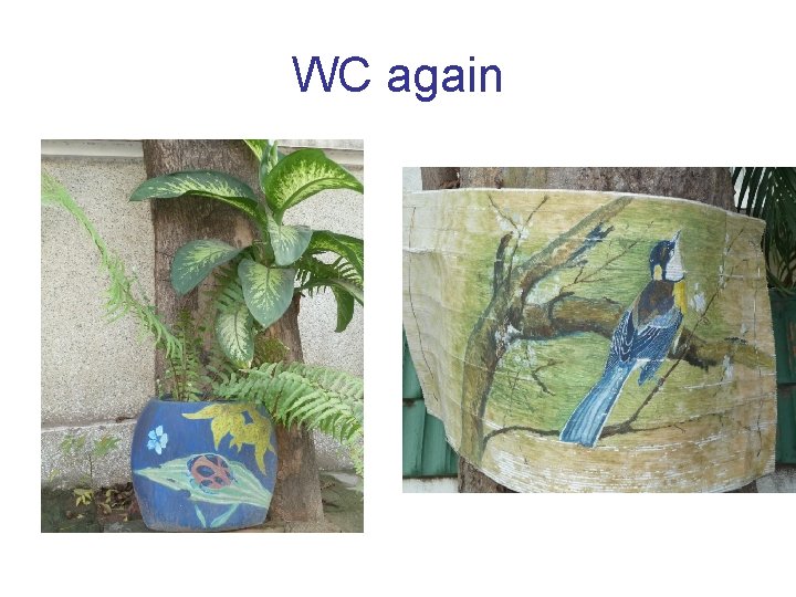 WC again 