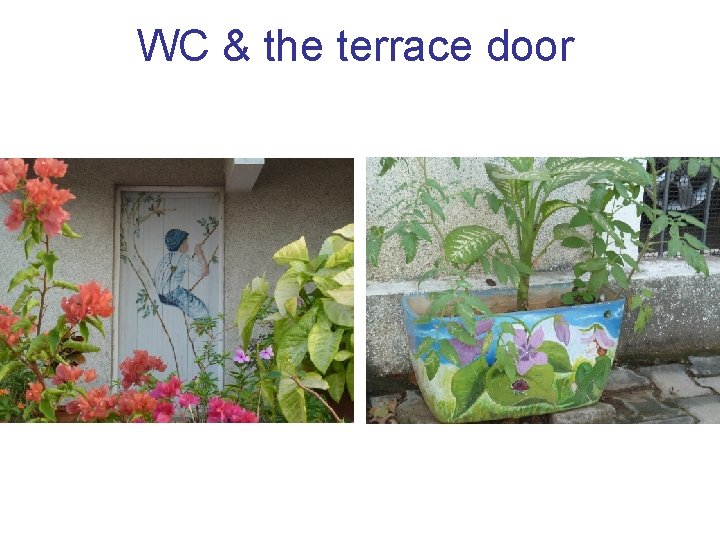 WC & the terrace door 