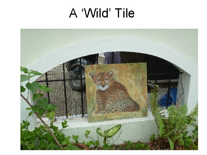 A ‘Wild’ Tile 