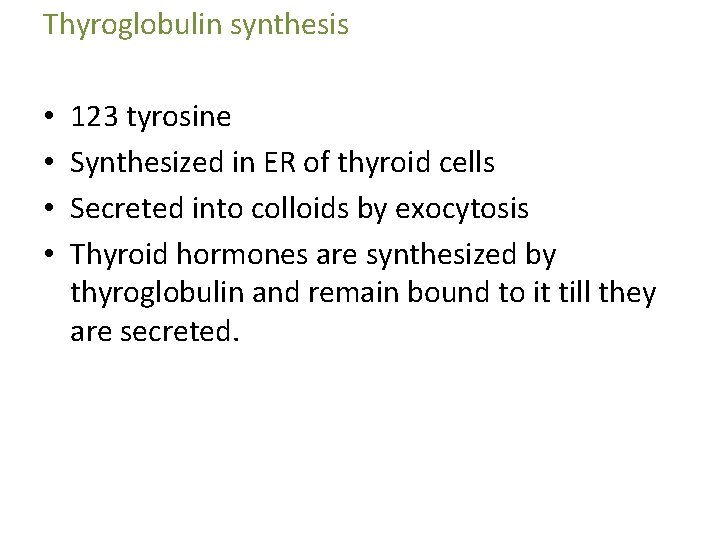 Thyroglobulin synthesis • • 123 tyrosine Synthesized in ER of thyroid cells Secreted into