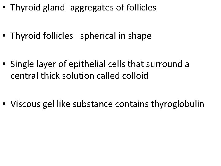  • Thyroid gland -aggregates of follicles • Thyroid follicles –spherical in shape •