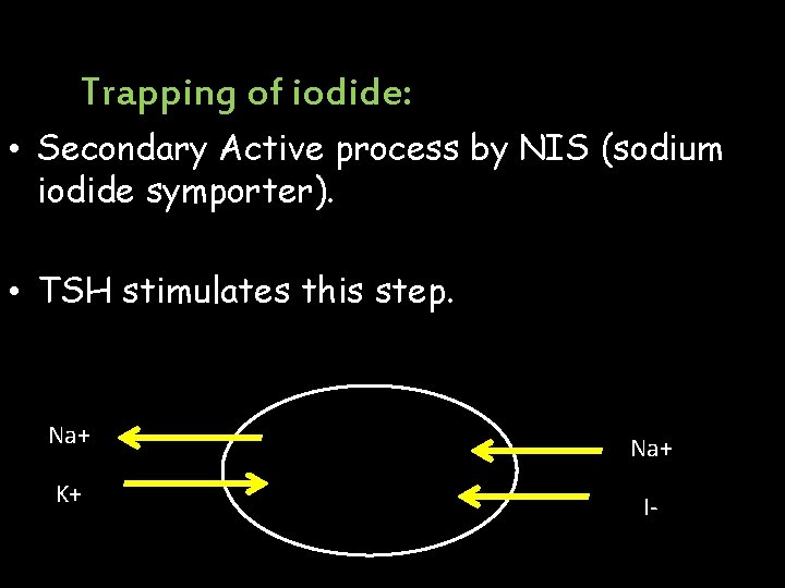 Trapping of iodide: • Secondary Active process by NIS (sodium iodide symporter). • TSH