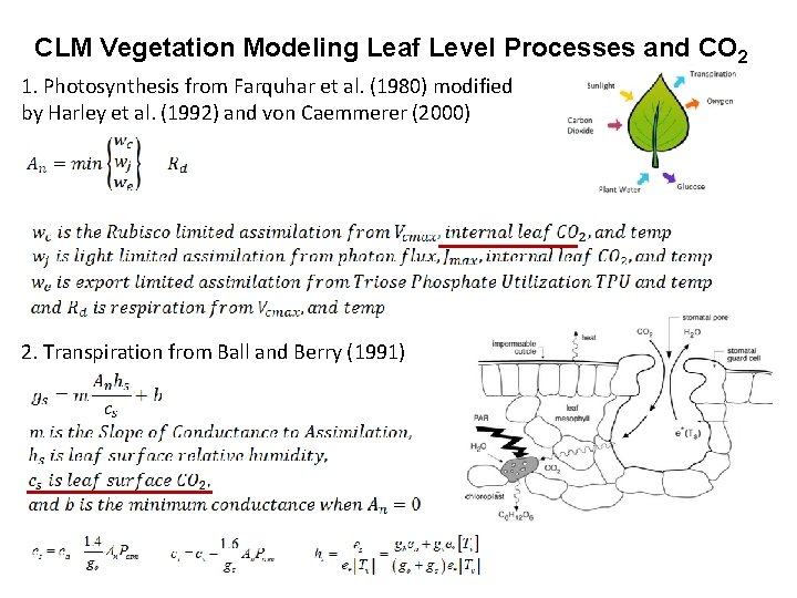 CLM Vegetation Modeling Leaf Level Processes and CO 2 1. Photosynthesis from Farquhar et