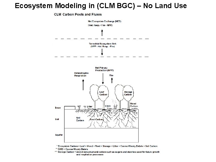 Ecosystem Modeling in (CLM BGC) – No Land Use 