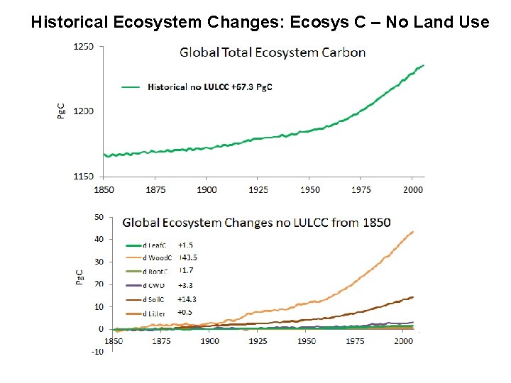 Historical Ecosystem Changes: Ecosys C – No Land Use Slide 4 – Land Cover