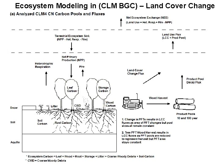 Ecosystem Modeling in (CLM BGC) – Land Cover Change 