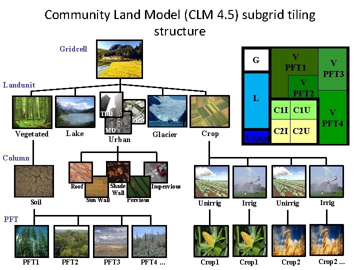 Community Land Model (CLM 4. 5) subgrid tiling structure Gridcell G Landunit L V