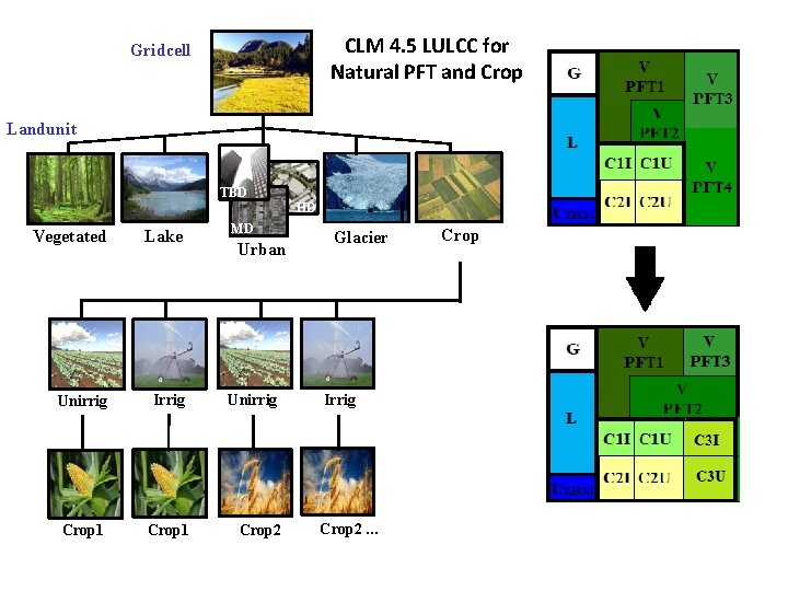CLM 4. 5 LULCC for Natural PFT and Crop Gridcell Landunit TBD HD MD