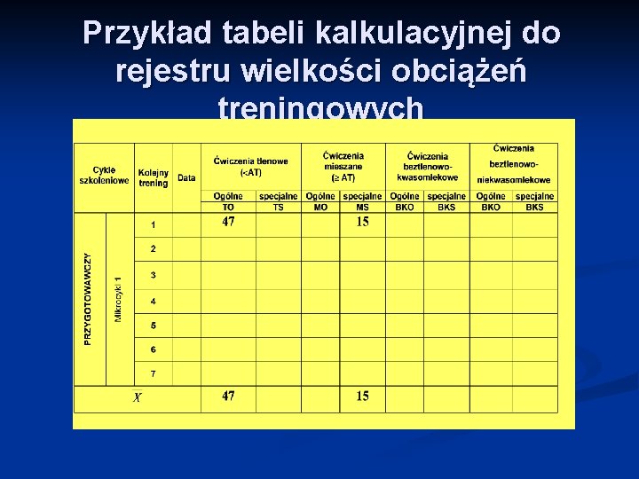 Przykład tabeli kalkulacyjnej do rejestru wielkości obciążeń treningowych 