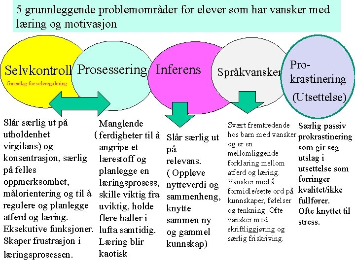 5 grunnleggende problemområder for elever som har vansker med læring og motivasjon Selvkontroll Prosessering