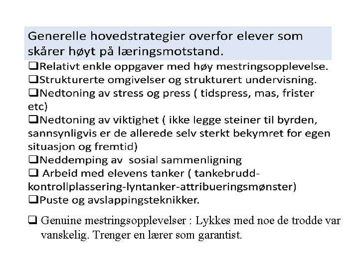 q Genuine mestringsopplevelser : Lykkes med noe de trodde var vanskelig. Trenger en lærer