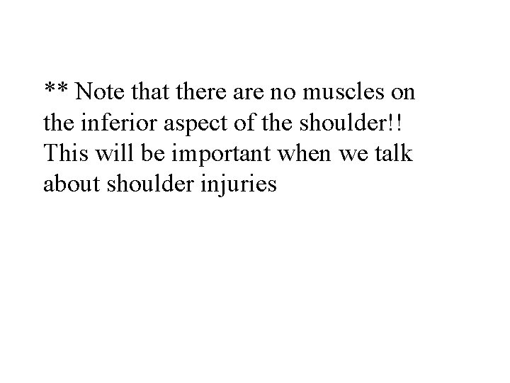 ** Note that there are no muscles on the inferior aspect of the shoulder!!