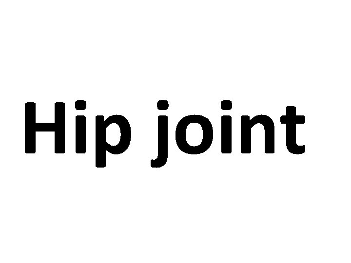 Hip joint MUSCLATURE 